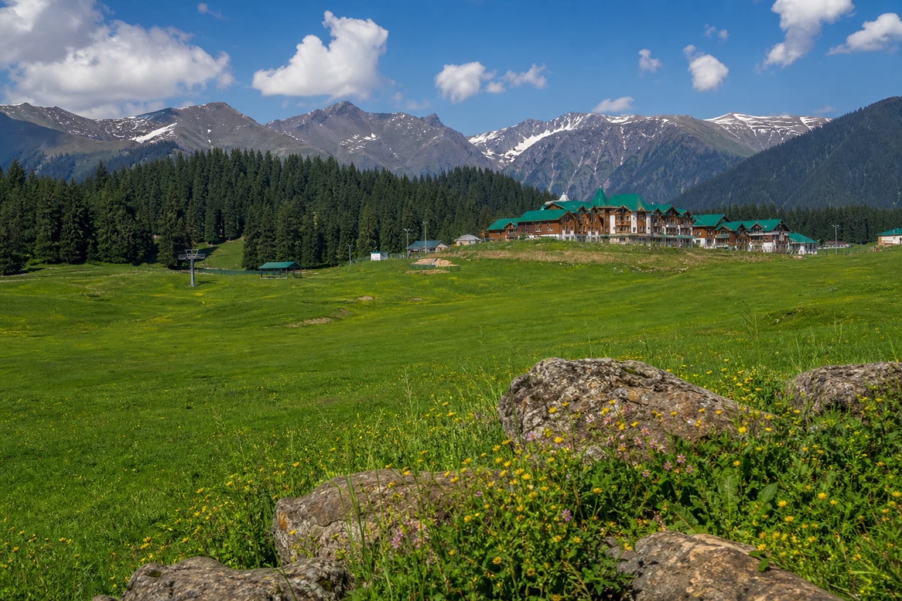 Best Time to Visit Gulmarg for Summer Meadows