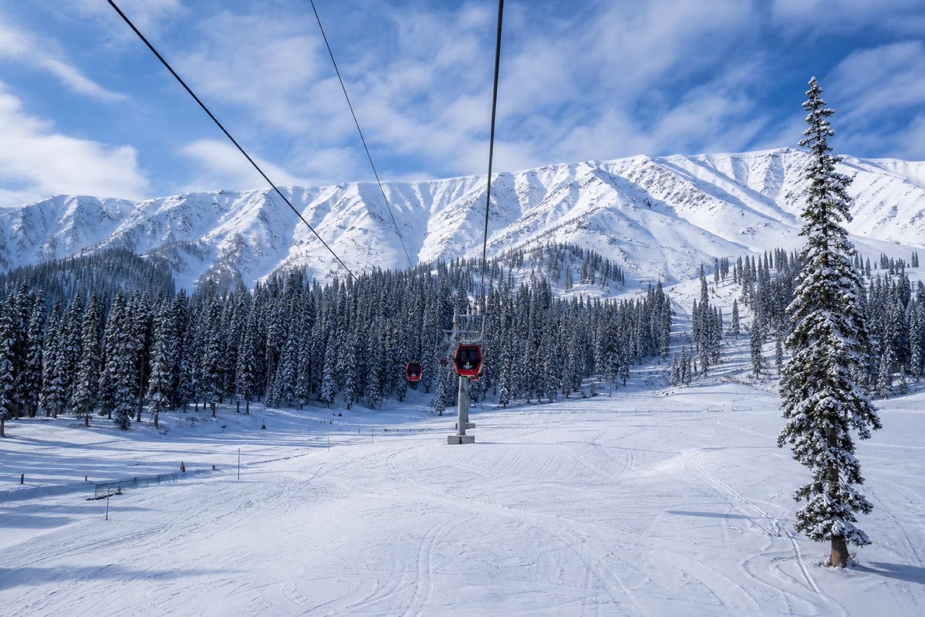 Winter in Gulmarg: Gondola, Snow, and Cozy Stays