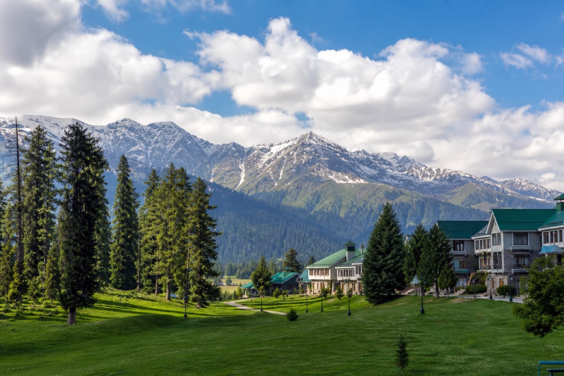 Summer experience at The Shaw Inn