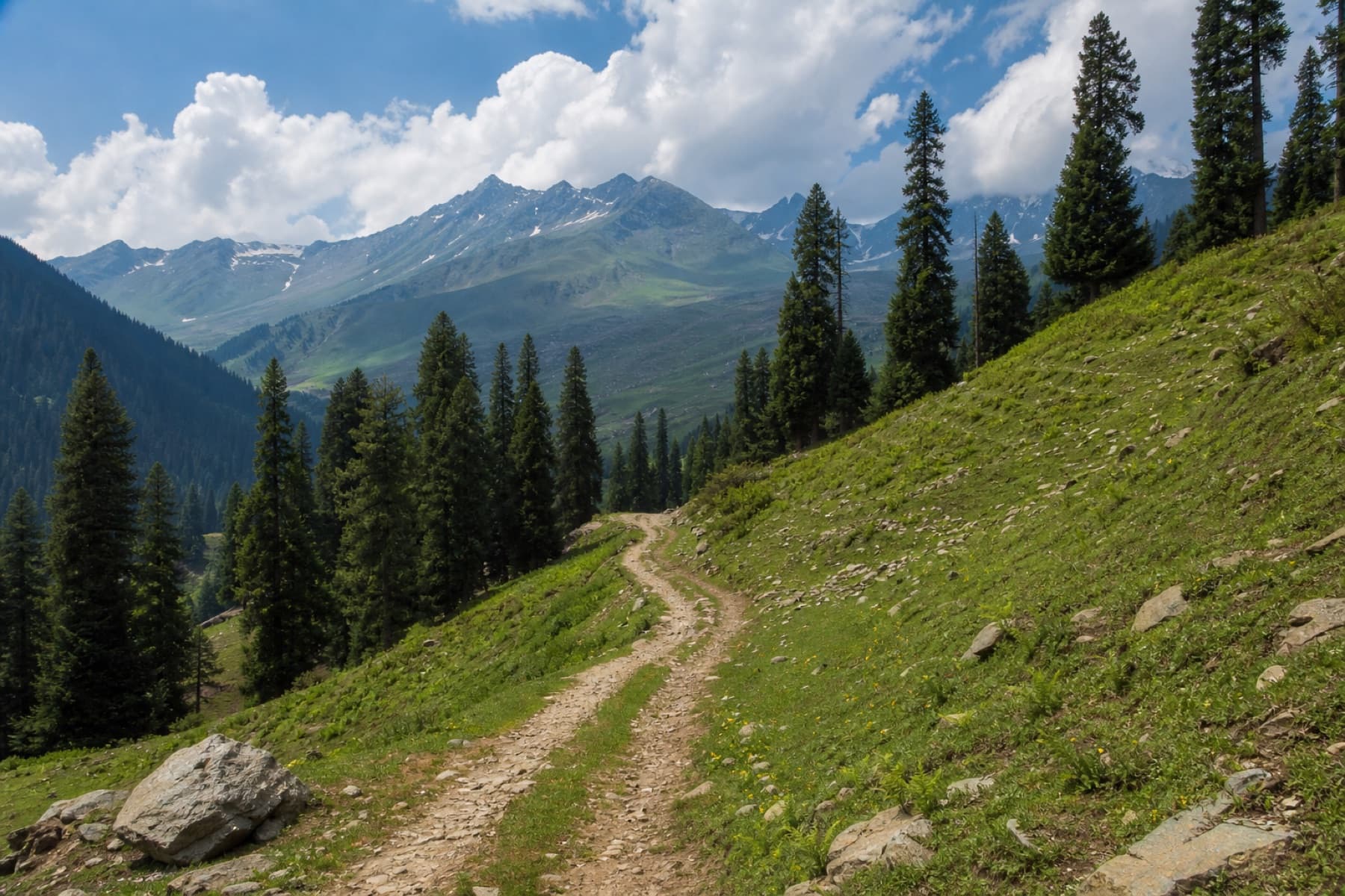 Trekking